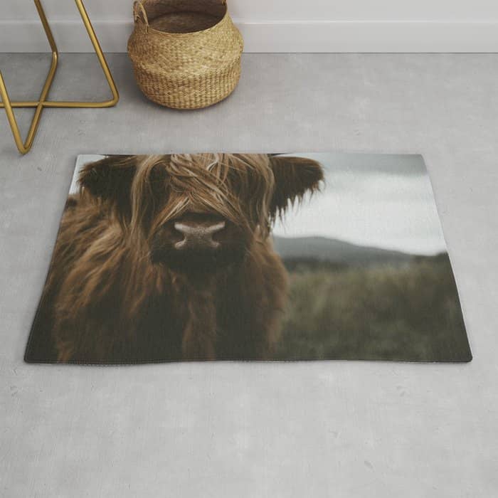 Animal Photography - Scottish Highland Cattle Rug