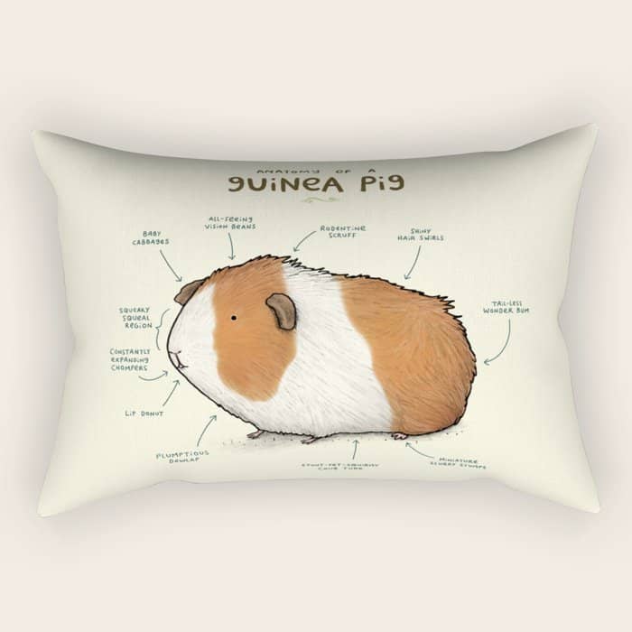 Anatomy Of A Guinea Pig Rectangular Pillow