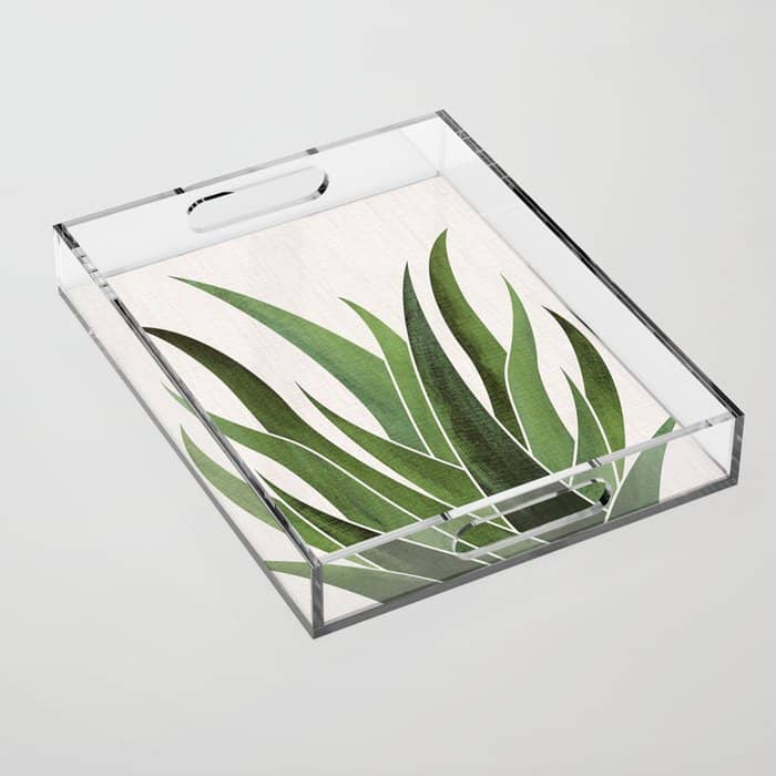 Desert Agave Succulent Illustration Acrylic Tray
