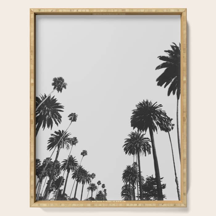 Palm Spring California, Palms Serving Tray