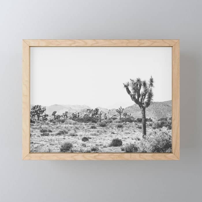 Joshua Tree Monochrome, No. 1 Mini Art Print