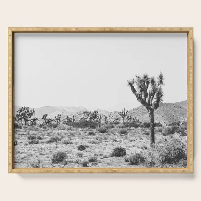 Joshua Tree Monochrome, No. 1 Serving Tray