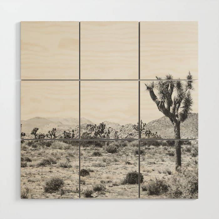 Joshua Tree Monochrome, No. 1 Wood Wall Art