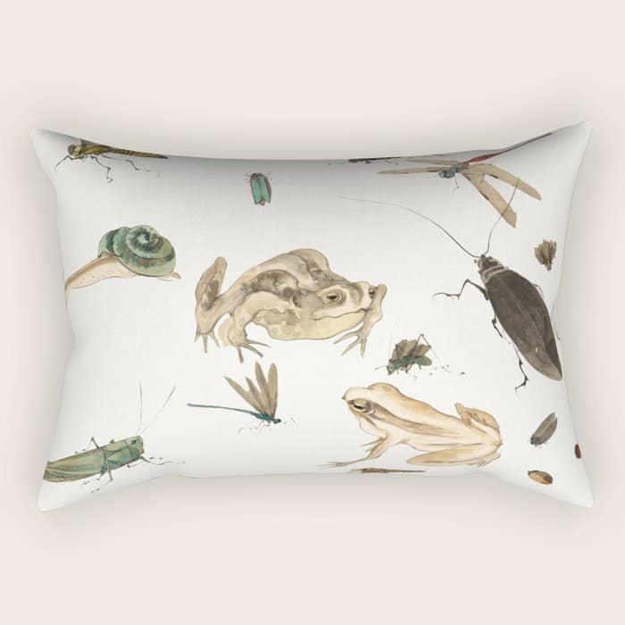 Insects Frogs And A Snail Rectangular Pillow