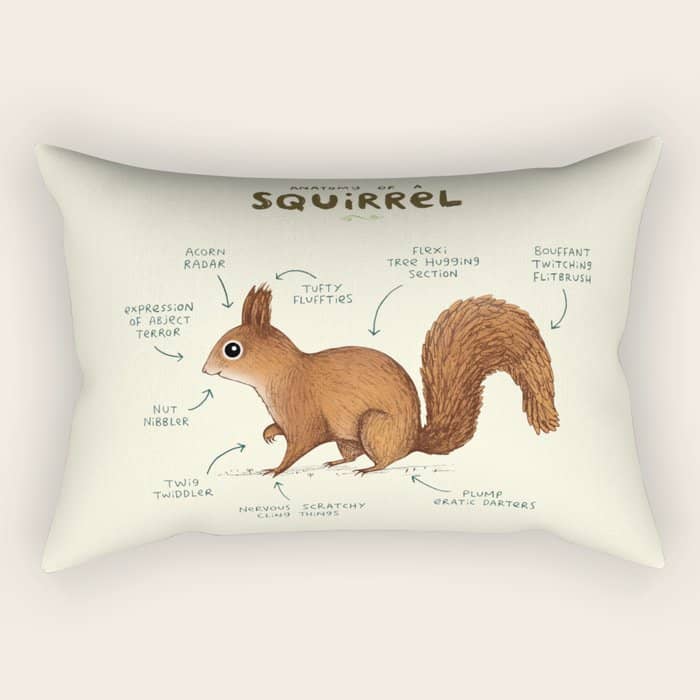 Anatomy Of A Squirrel Rectangular Pillow