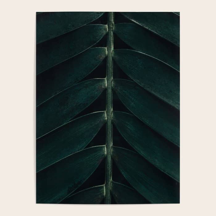 Green Leaves - Nature Photography Poster