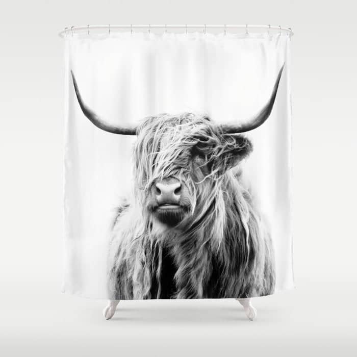 Portrait Of A Highland Cow Shower Curtain