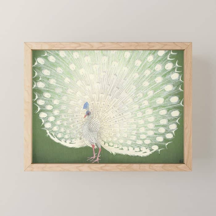 Peacock, Ohara Koson - Japanese Woodcut Mini Art Print