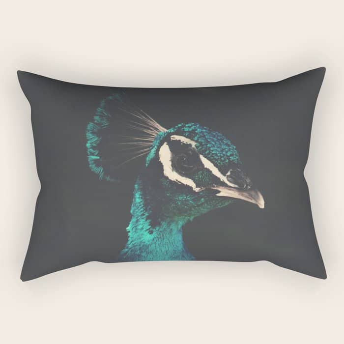 Peacock And Proud - Beautiful Bird Photography By Ingrid Beddoes Rectangular Pillow
