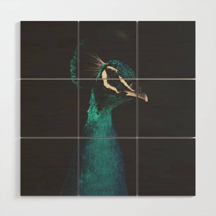 Peacock And Proud - Beautiful Bird Photography By Ingrid Beddoes Wood Wall Art