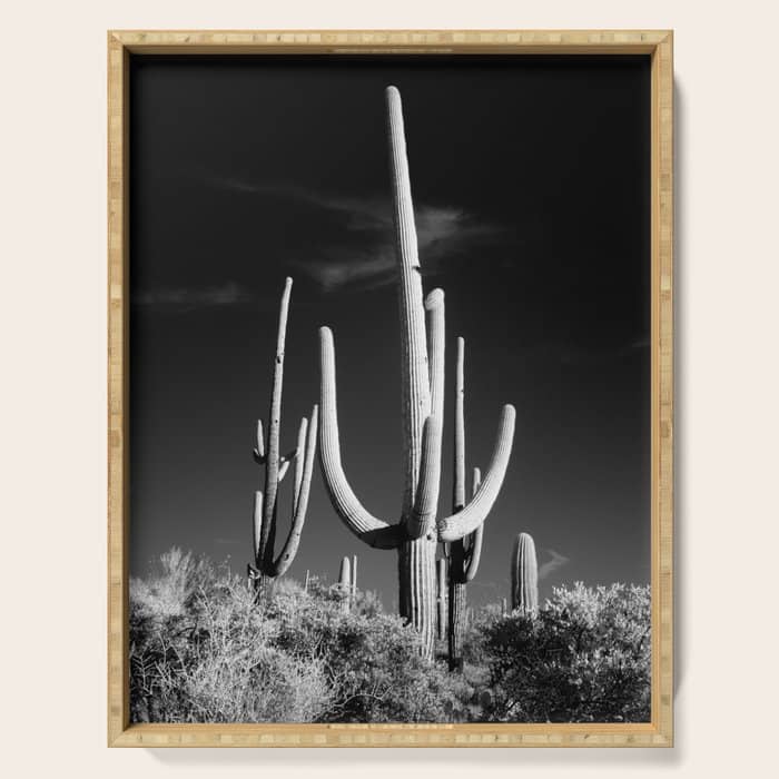 Black And White Saguaro Cactus Photo Serving Tray
