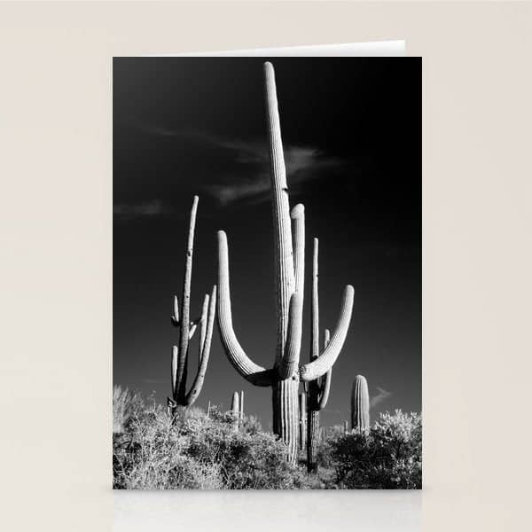 Black And White Saguaro Cactus Photo Stationery Card