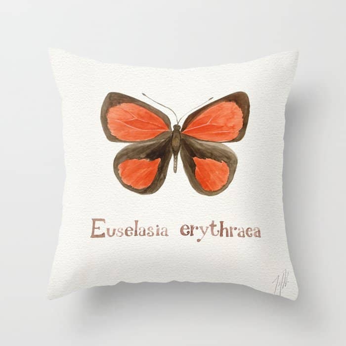 Butterfly - Euselasia Erythraea Throw Pillow