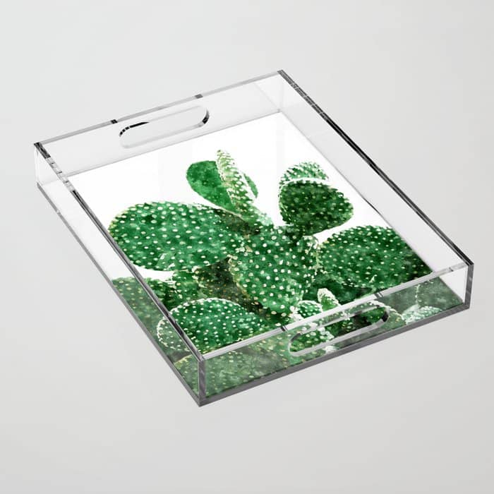 Velvet Cactus | Watercolor Botanical Plants | Minimal Boho Scandinavian Painting Acrylic Tray
