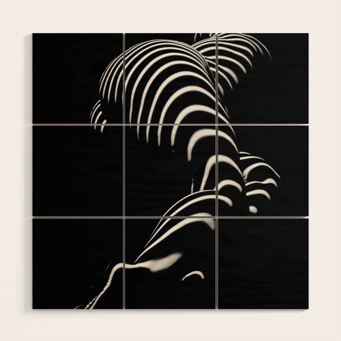 0774-Ar Bbw Sensual Legs Hips And Ass Of A Large Woman Big Beautiful Art Nude Black And White Wood Wall Art