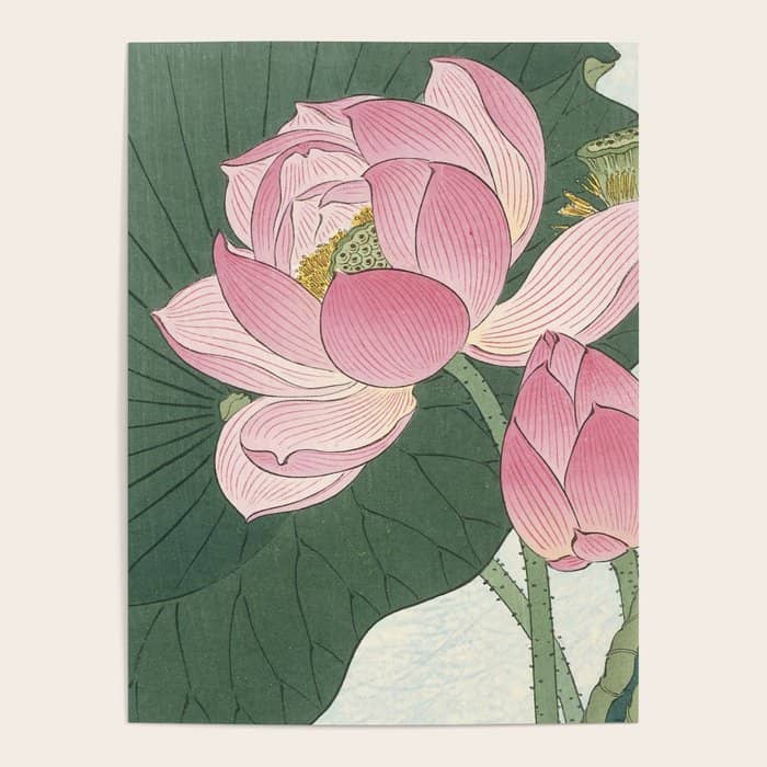 Flowering Lotus Flowers, Ohara Koson Poster