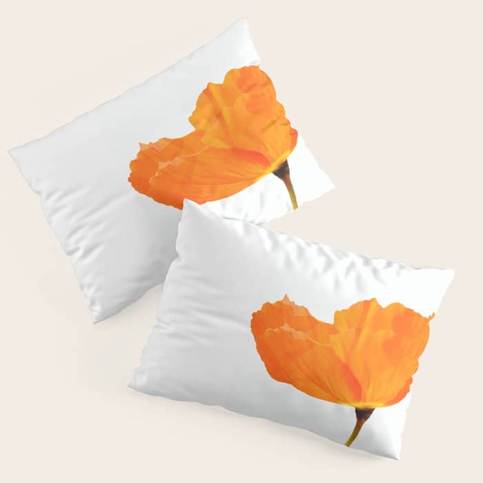 One And Only - Orange Poppy White Background #Decor #Homestorie #Buyart Pillow Sham