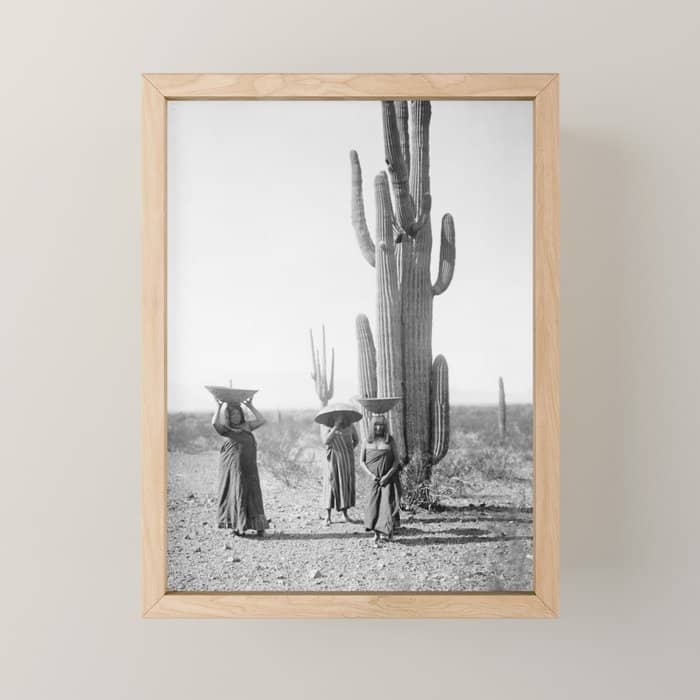 Vintage Native American Photo With Saguao Cactus Mini Art Print