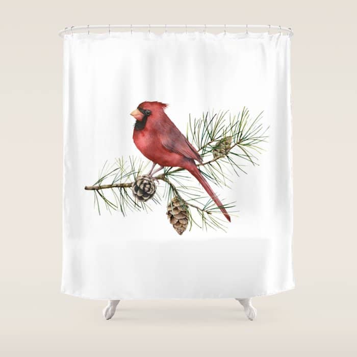 Christmas Red Cardinal Bird And Pine Watercolor Shower Curtain