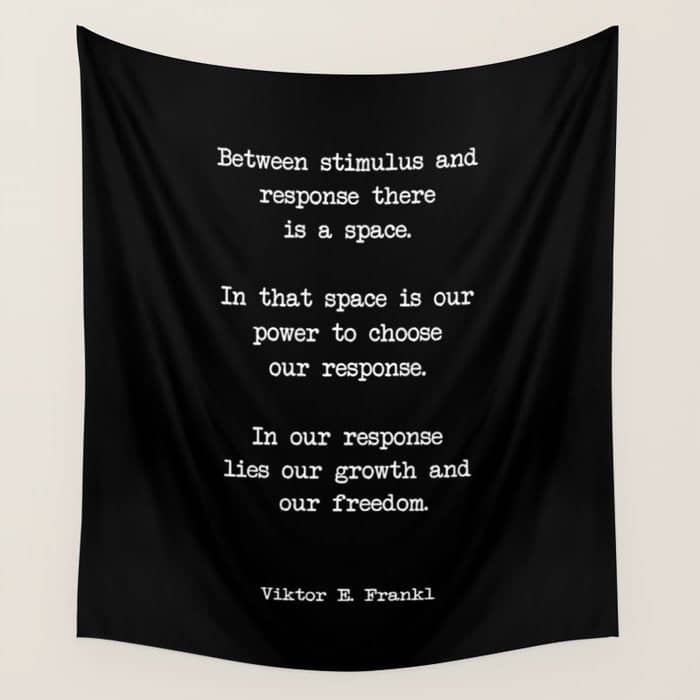 Between Stimulus And Response, There Is A Space. Viktor Frankl Quote Wall Tapestry
