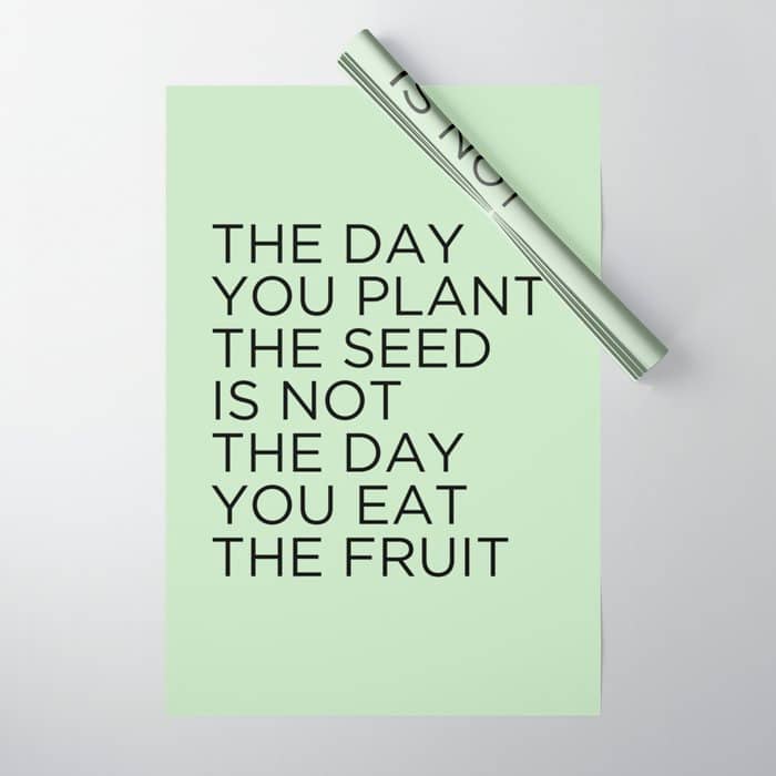 The Day You Plant The Seed Is Not The Day You Eat The Fruit Wrapping Paper