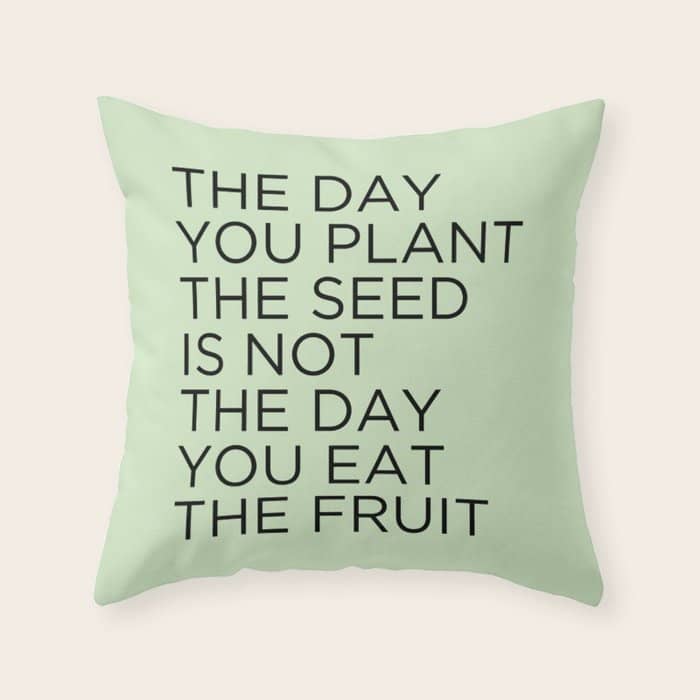 The Day You Plant The Seed Is Not The Day You Eat The Fruit Throw Pillow