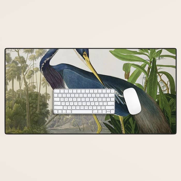John James Audubon Louisiana Heron Painting Desk Mat