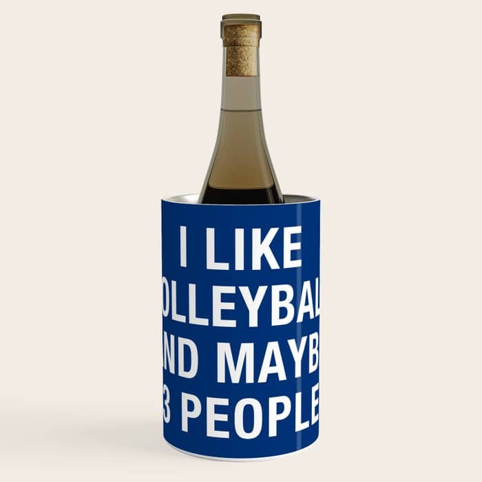 I Like Volleyball And Maybe 3 People Wine Chiller