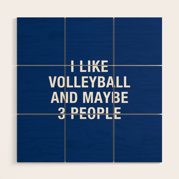 I Like Volleyball And Maybe 3 People Wood Wall Art