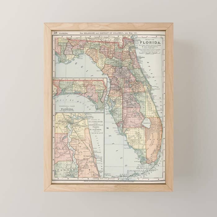 Vintage Map Of Florida (1891) Mini Art Print