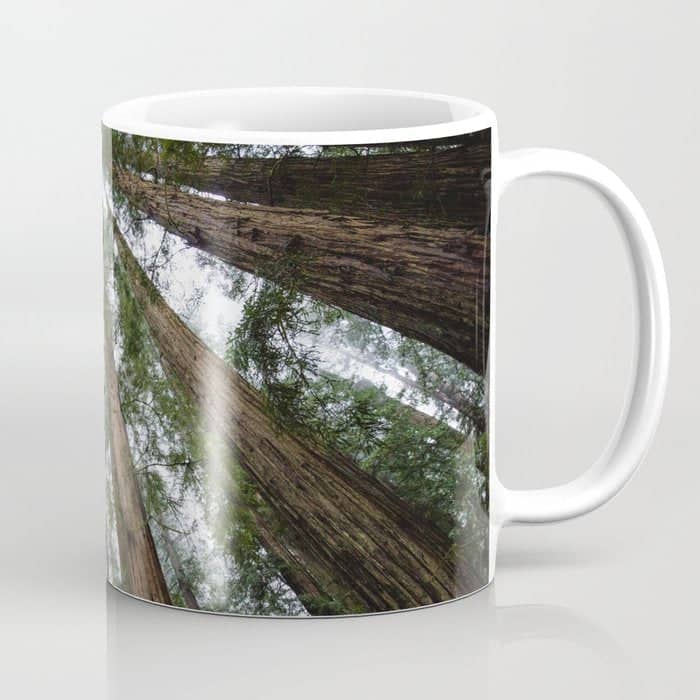 Redwood Forest Adventure Vi - Nature Photography Coffee Mug