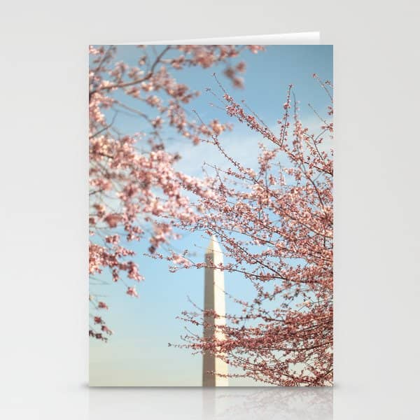 Washington Dc Cherry Blossoms Stationery Card