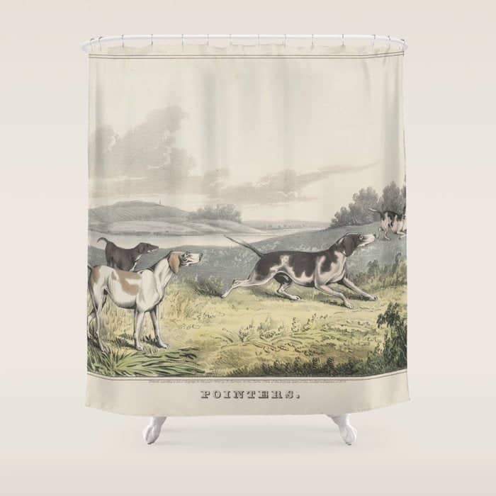 Vintage Illustration Of Pointer Dogs (1846) Shower Curtain