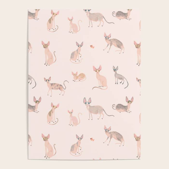 Sphynx Cats - No Furr Don'T Care - Cat Pink Poster