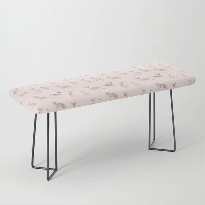 Sphynx Cats - No Furr Don'T Care - Cat Pink Bench