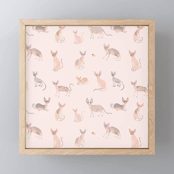 Sphynx Cats - No Furr Don'T Care - Cat Pink Mini Art Print