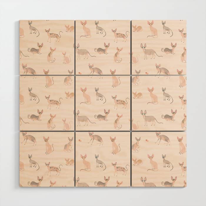 Sphynx Cats - No Furr Don'T Care - Cat Pink Wood Wall Art