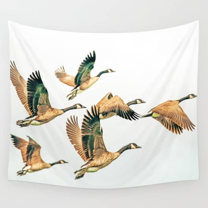 Fly Away || #Photography #Birds Wall Tapestry