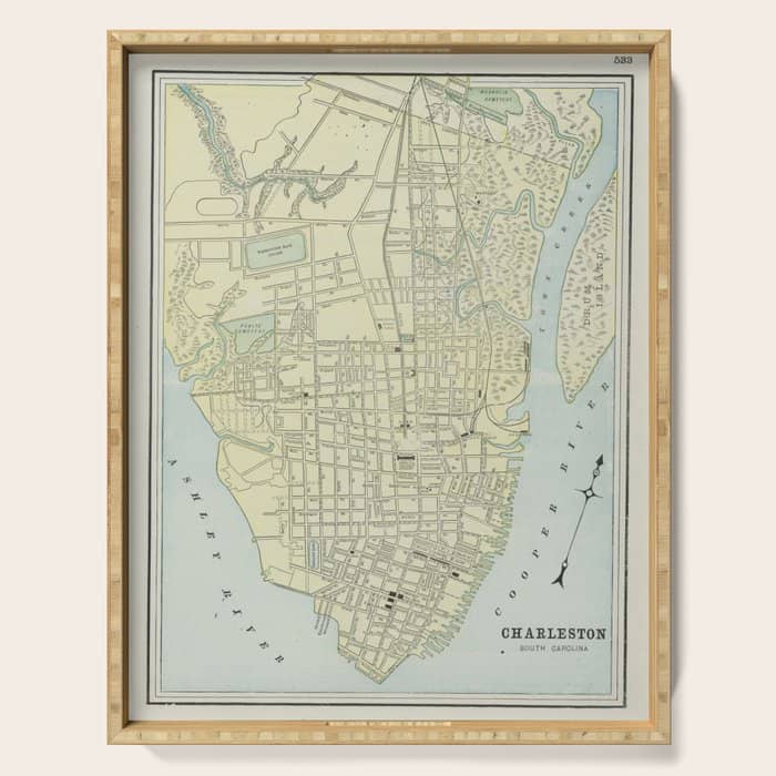 Vintage Map Of Charleston Sc (1901) Serving Tray