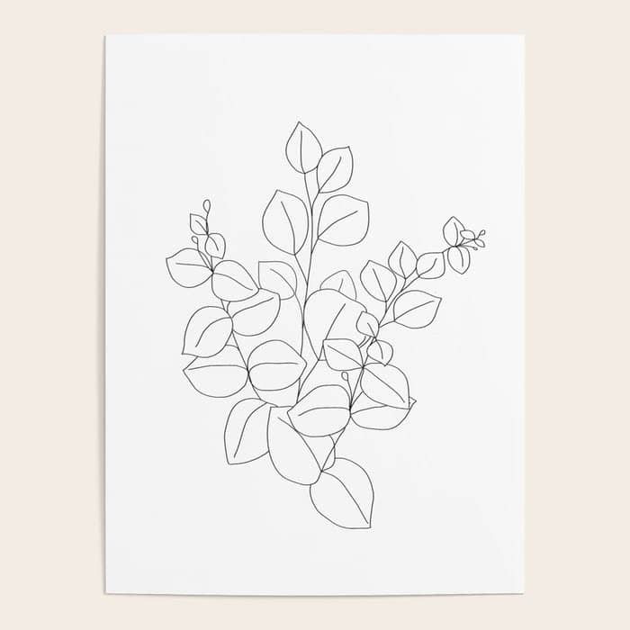Minimalistic Eucalyptus  Line Art Poster