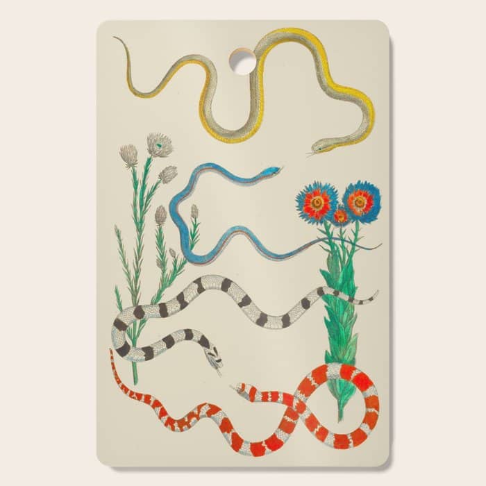 Locupletissimi Rerum Naturalium - Vol. 2 - Albertus Seba Colorful Snake Floral Arrangement Cutting Board