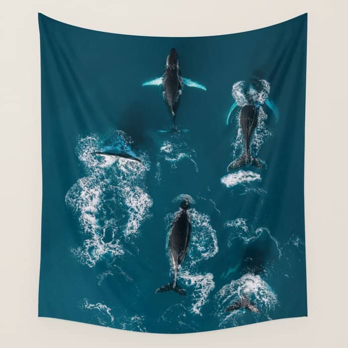 Humpback Whales In The Arctic Wall Tapestry