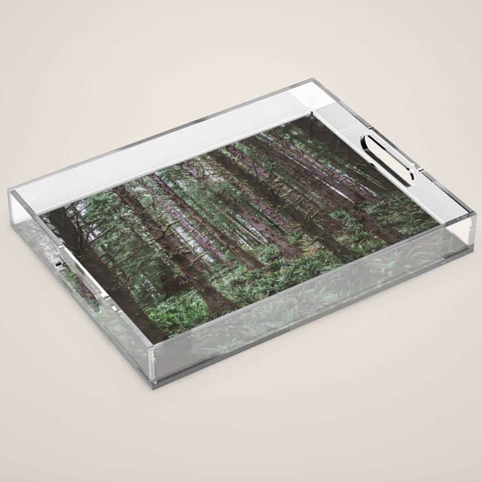 Forest Dark, Forest Deep Iii Acrylic Tray