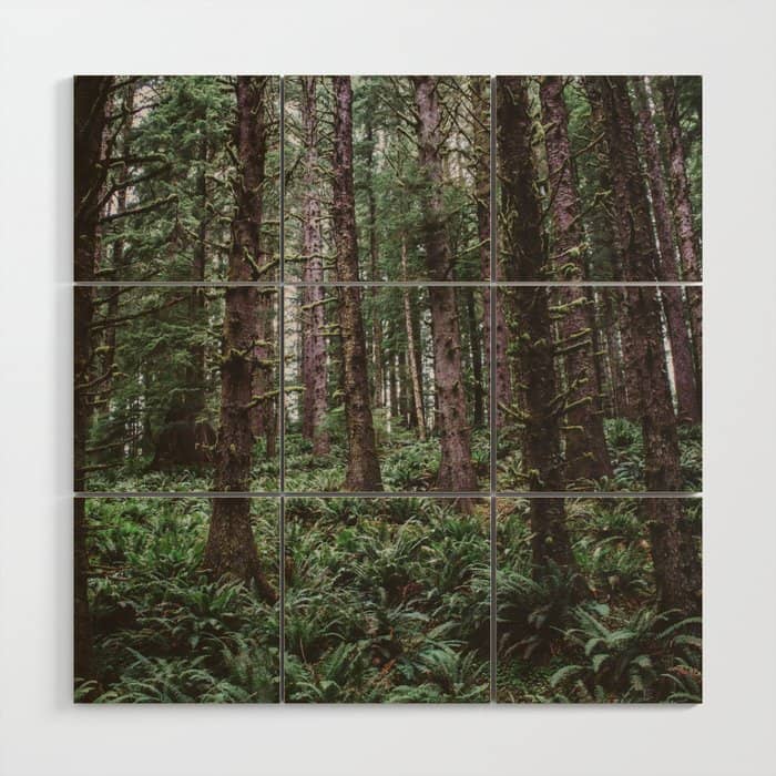 Forest Dark, Forest Deep Iii Wood Wall Art