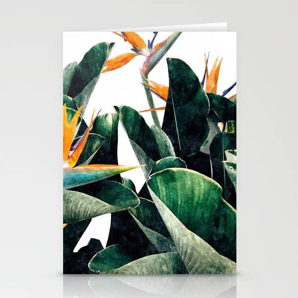 Paradise Bird, Nature Botanical Plant Floral, Tropical Garden Watercolor Painting Stationery Card