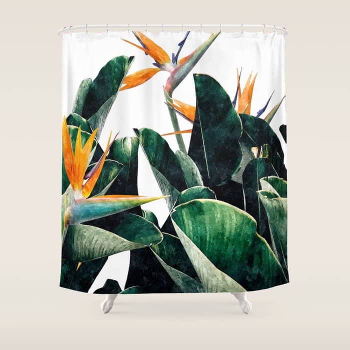 Paradise Bird, Nature Botanical Plant Floral, Tropical Garden Watercolor Painting Shower Curtain