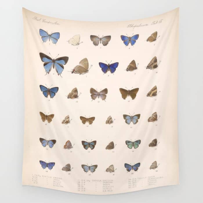 Vintage Hand Drawn Scientific Illustration Insects Butterfly Anatomy Colorful Wings Wall Tapestry
