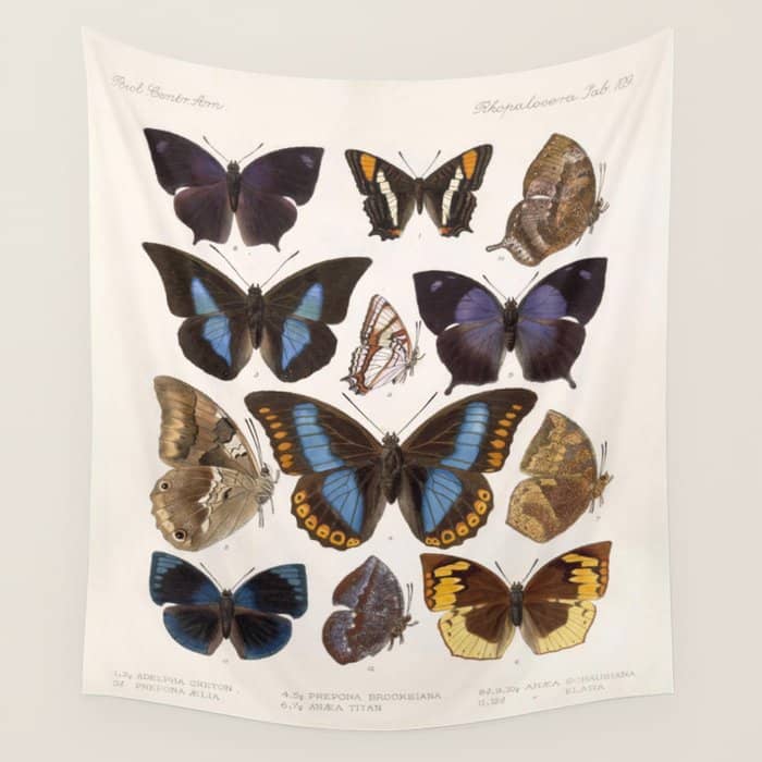 Vintage Scientific Insect Butterfly Moth Biological Hand Drawn Species Art Illustration Wall Tapestry