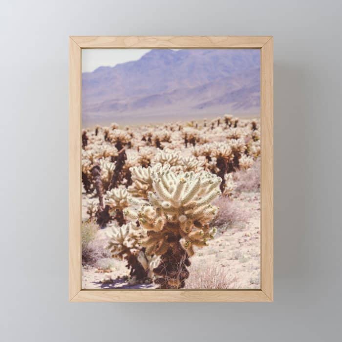 Chollo Cactus Garden - Joshua Tree Mini Art Print