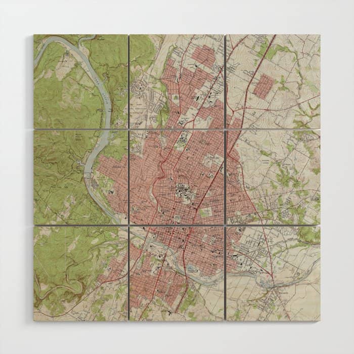 Vintage Map Of Austin Texas (1955) Wood Wall Art